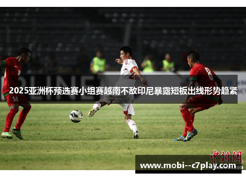 2025亚洲杯预选赛小组赛越南不敌印尼暴露短板出线形势趋紧
